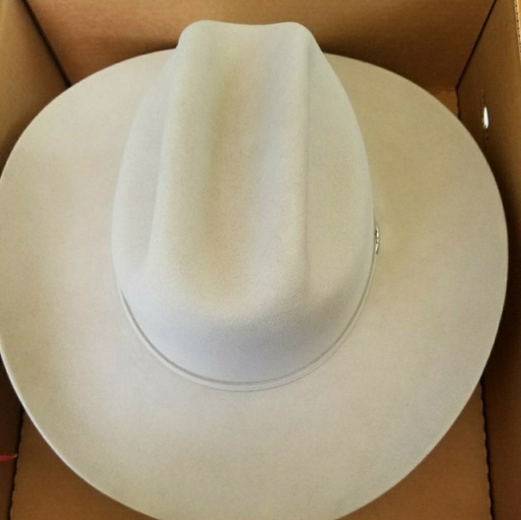 Meet your Posher, Frank - Picture 1 of 1